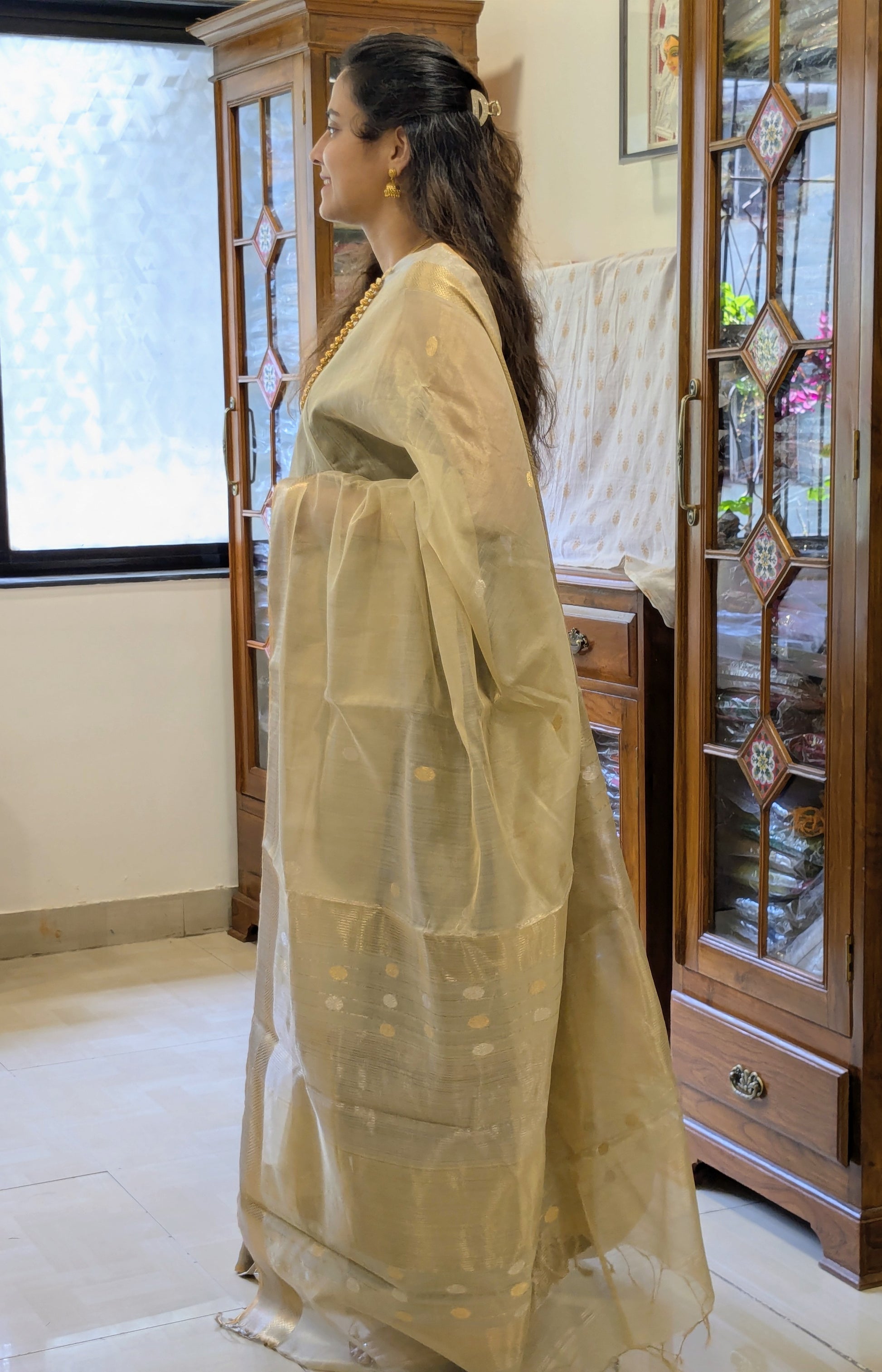 Beige Silk Tissue Maheshwari Saree with Silver-Gold Buttis