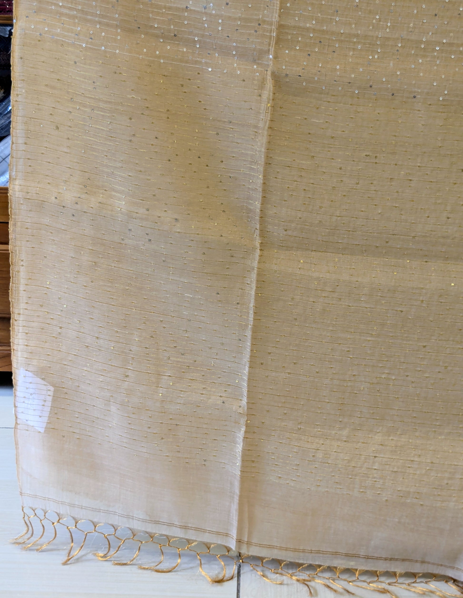 Beige Linen Tissue Jamdani Saree with Sequins