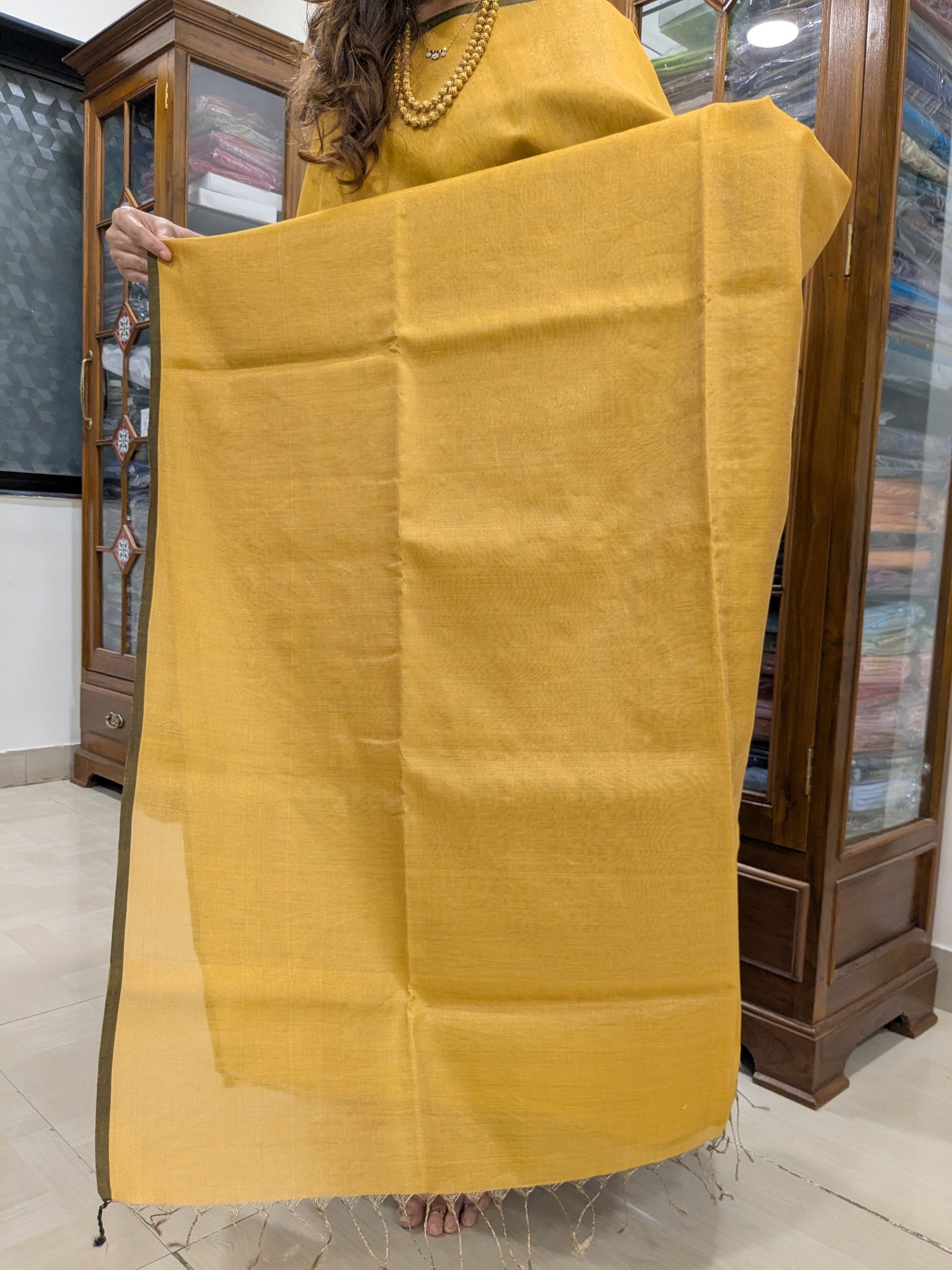 pallu image showcasing the simplicity and sheen of tissue-cotton craftsmanship.