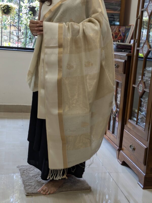 Detailed image of zari-lined pallu with subtle gold shimmer and delicate flower accents.