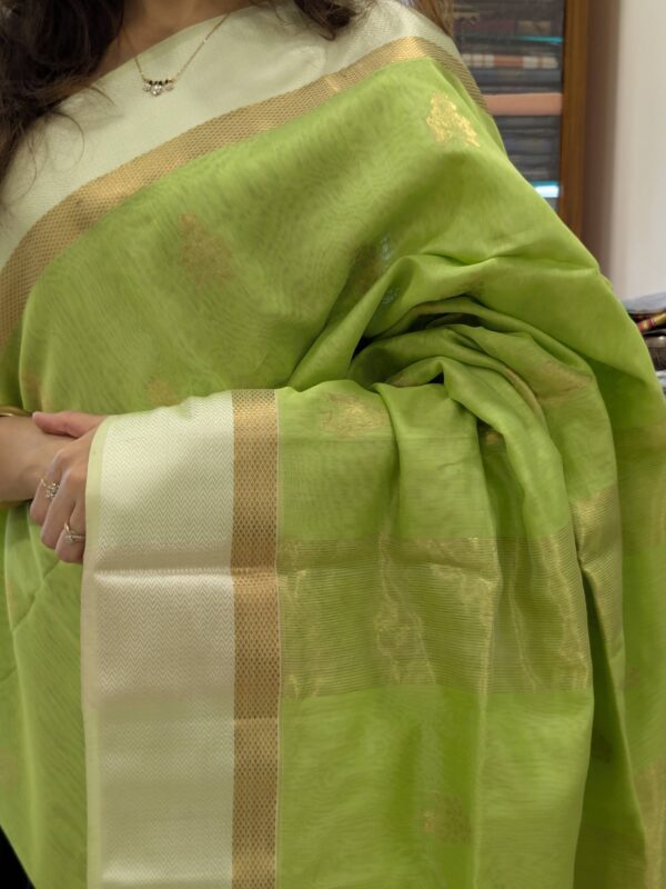 Close-up of pista green Maheshwari silk cotton saree with floral motifs, white resham border