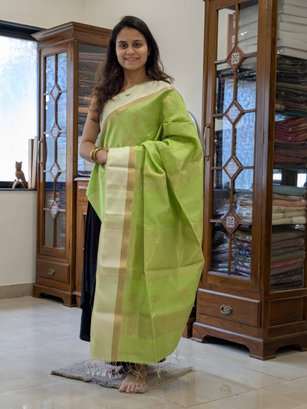 Full front view of elegant pista green handloom Maheshwari saree featuring subtle flower motifs and shimmering zari pallu.