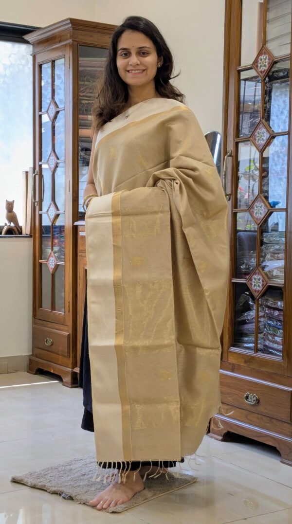 Full front view of elegant beige handloom Maheshwari saree featuring delicate flower design and subtle sheen.