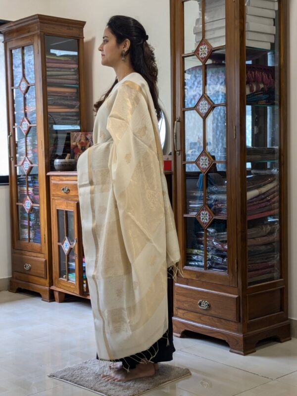 Side view of white silk cotton saree showing gentle drape, handwoven texture, and classic detailing.